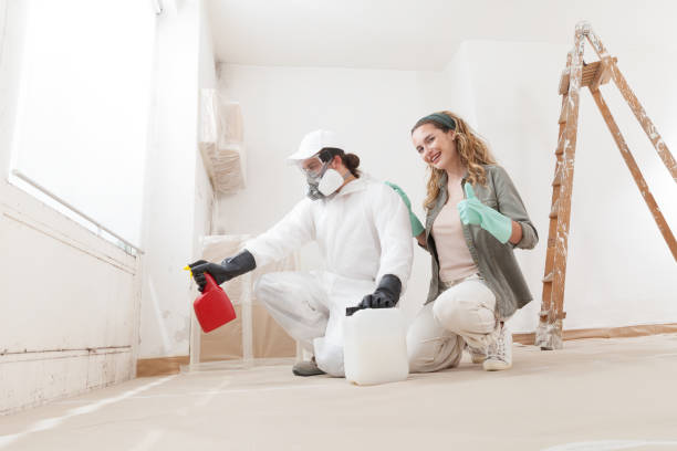 Best Water Damage & Mold Remediation  in Southmayd, TX