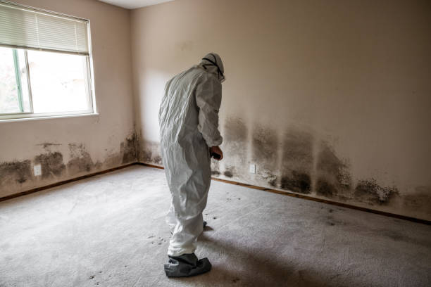 Mold Remediation for Vacation Homes in Southmayd, TX